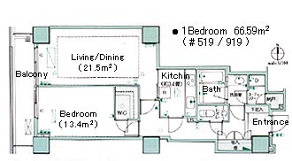 1Bedroom 66.59m2